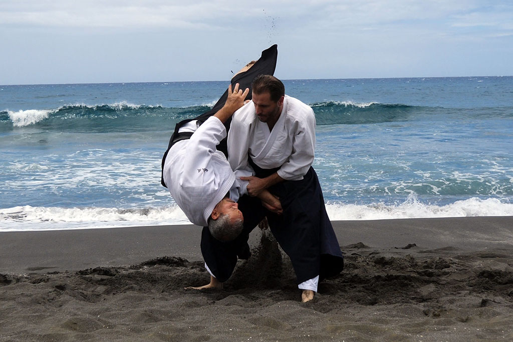 New Video: Guillaume Erard Seminar on La Reunion Island