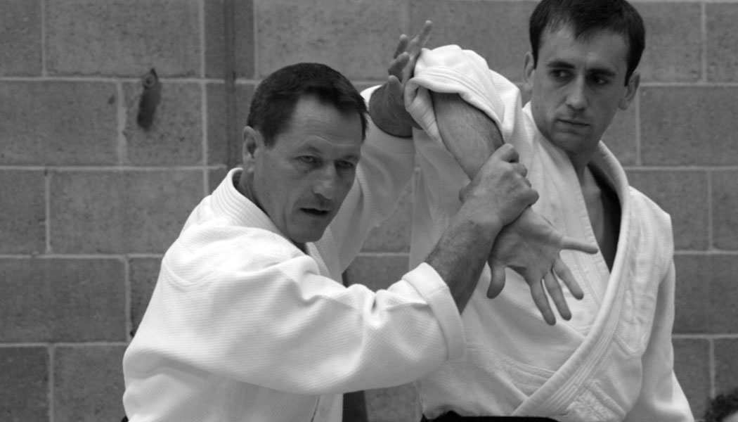 Picture Gallery: Christian Tissier Shihan Seminar in Dublin