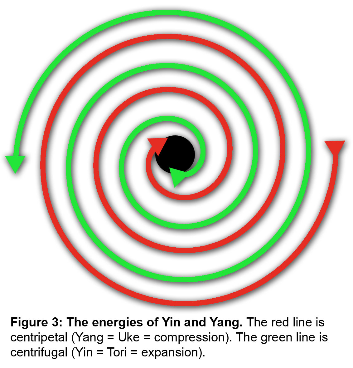 Yin and Yang in motion Figure 3